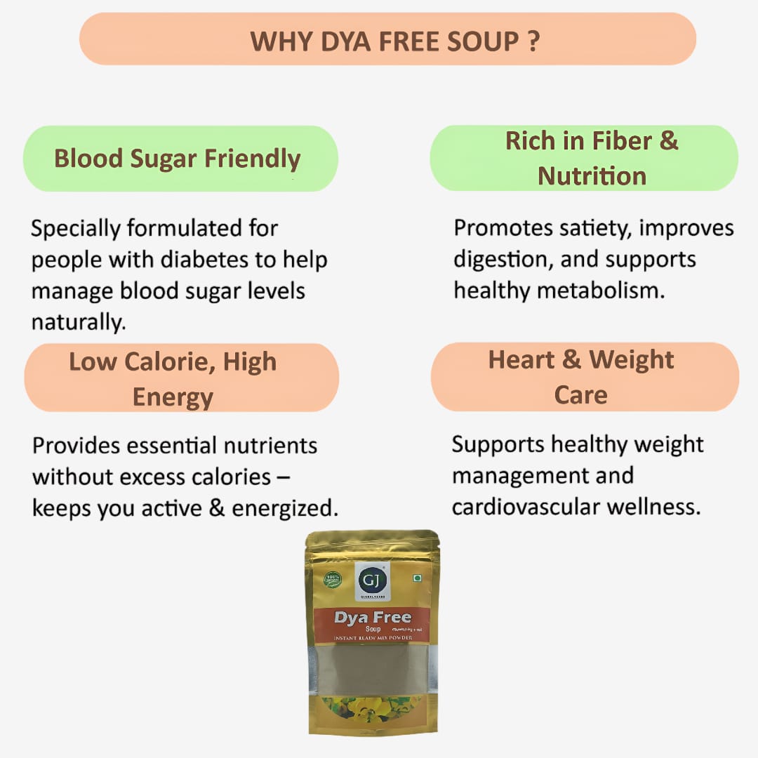 Gj Global Dya Free Soup - 100 g