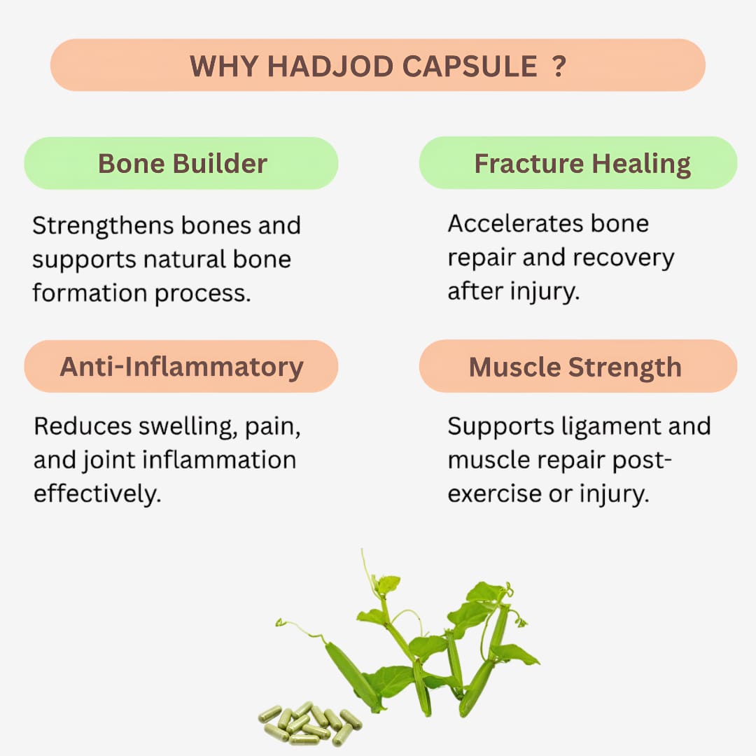 Gj Global Hadjod Capsules - 50 Capsules