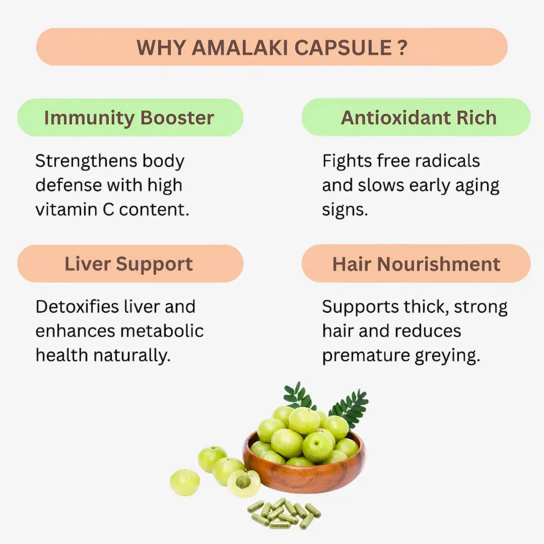 Gj Global Amalaki Capsules - 50 Capsules - Orgoshops