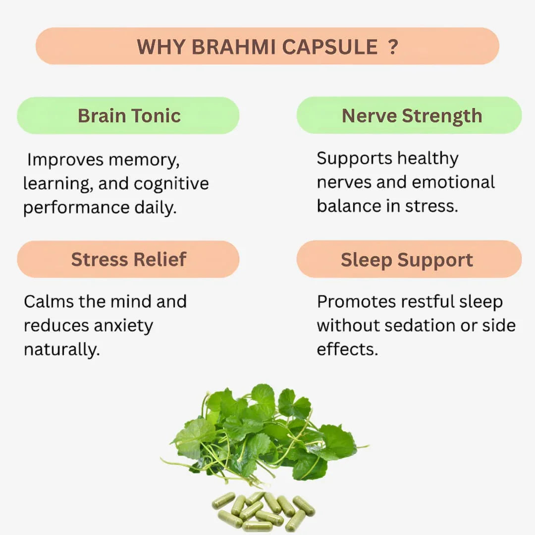 Gj Global Brahmi Capsules - 50 Capsules - Orgoshops