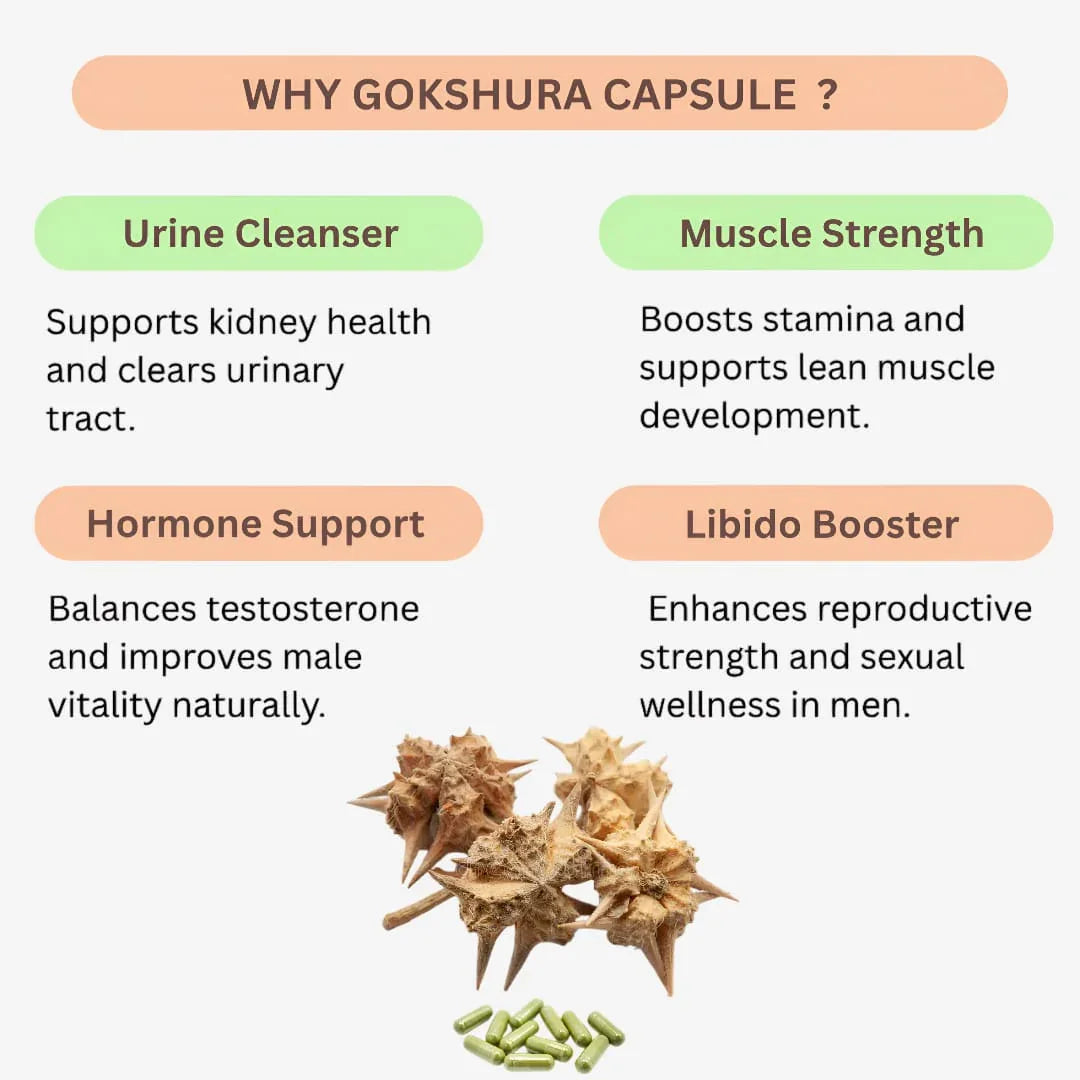 Gj Global Gokshura Capsules - 50 Capsules - Orgoshops
