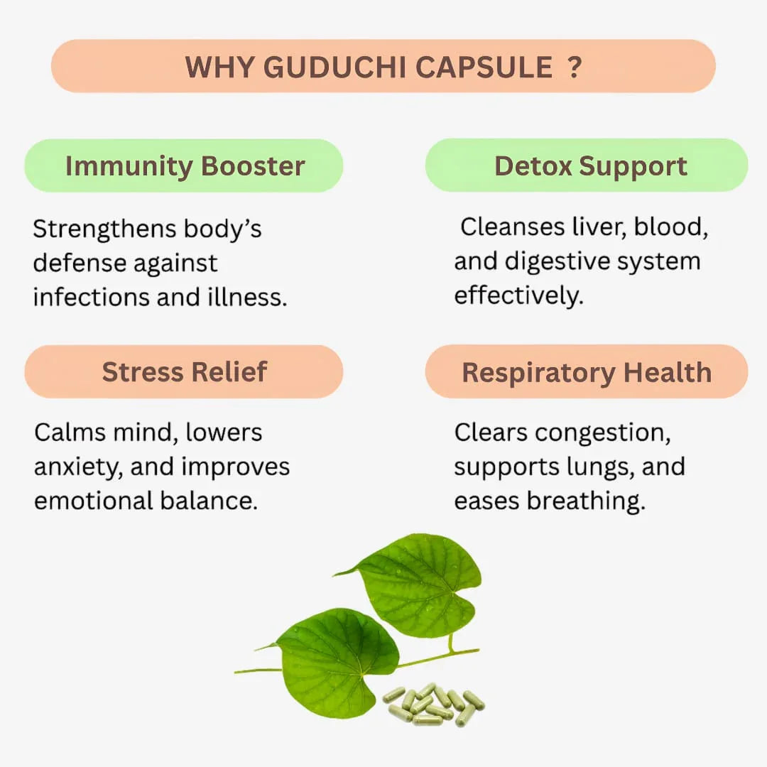 Gj Global Guduchi Capsules - 50 Capsules - Orgoshops