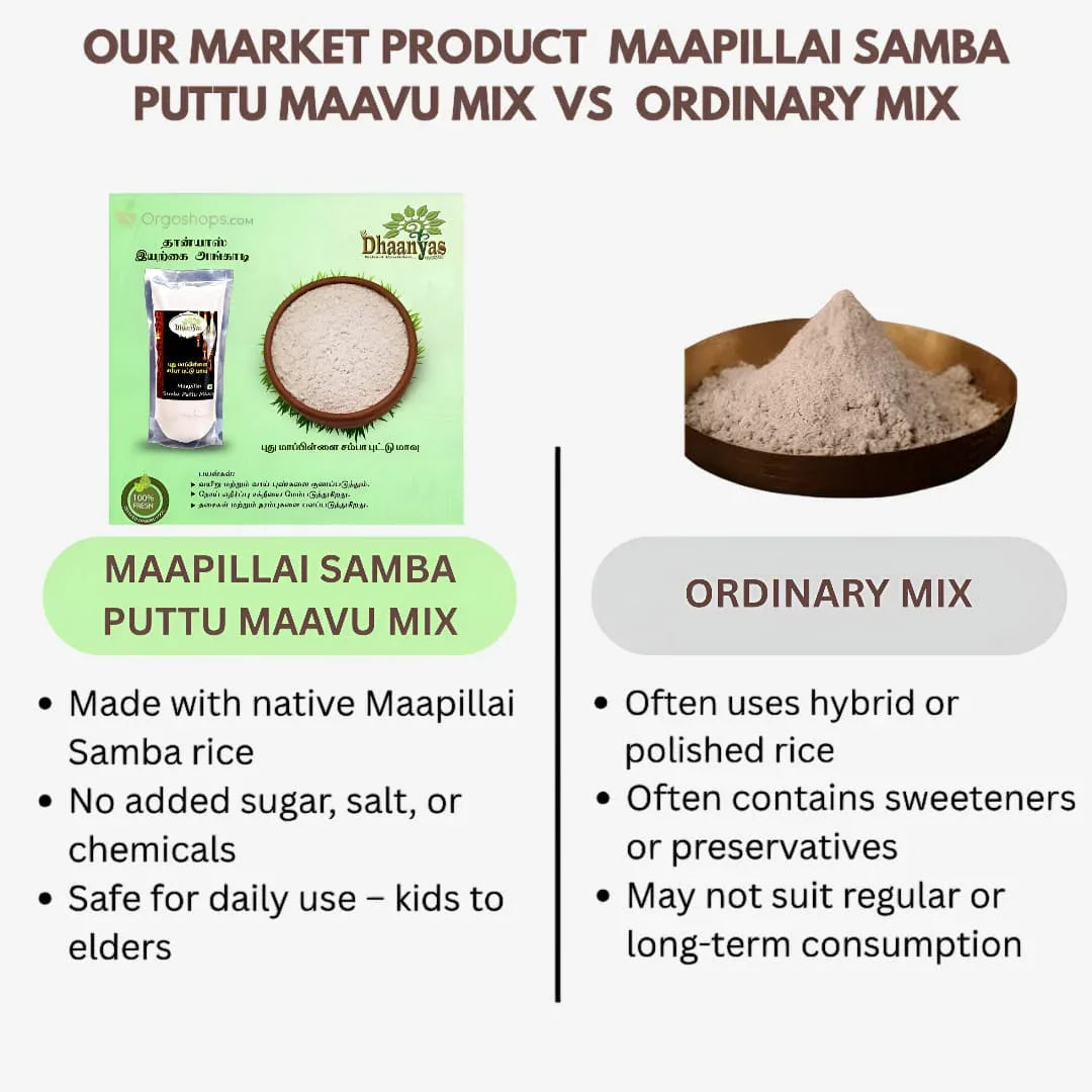 Dhaanyas Mappilai Samba Puttu Mix - 250 GMS (Pack of 2) - Orgoshops