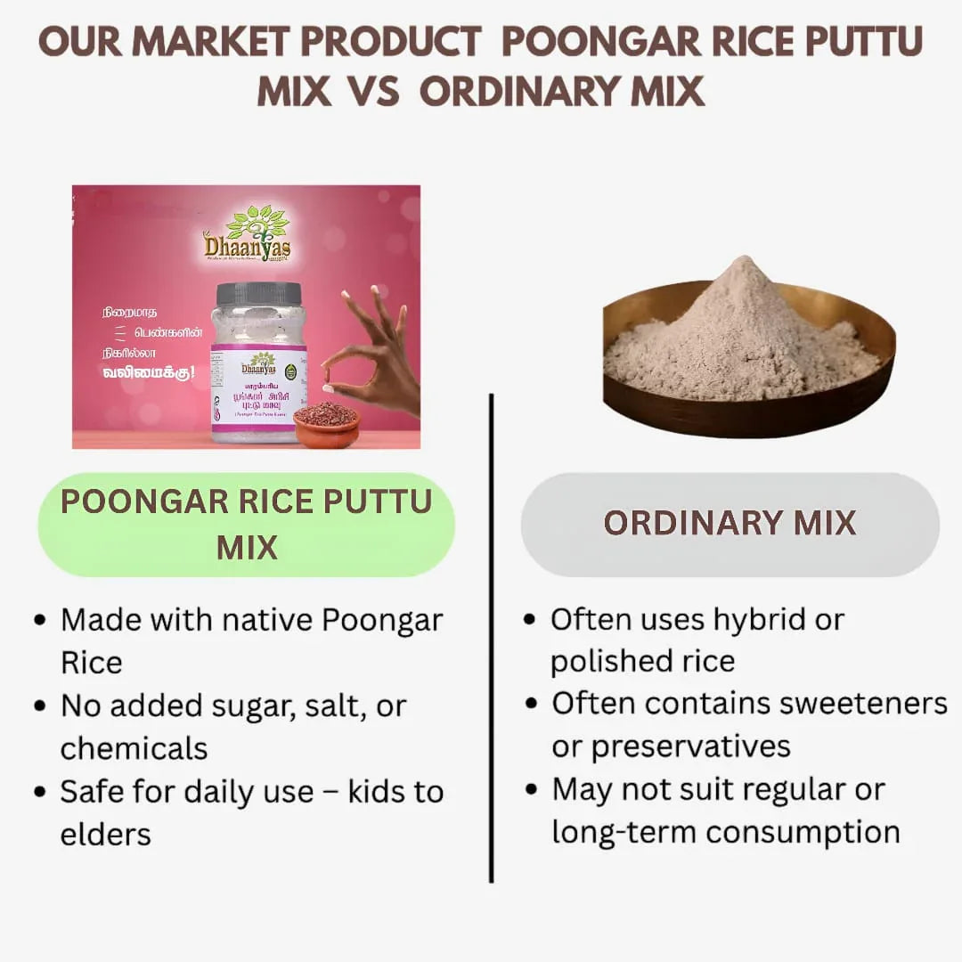 Dhaanyas Poongar Rice Puttu Mix - 300 Gms (Pack of 2) - Orgoshops