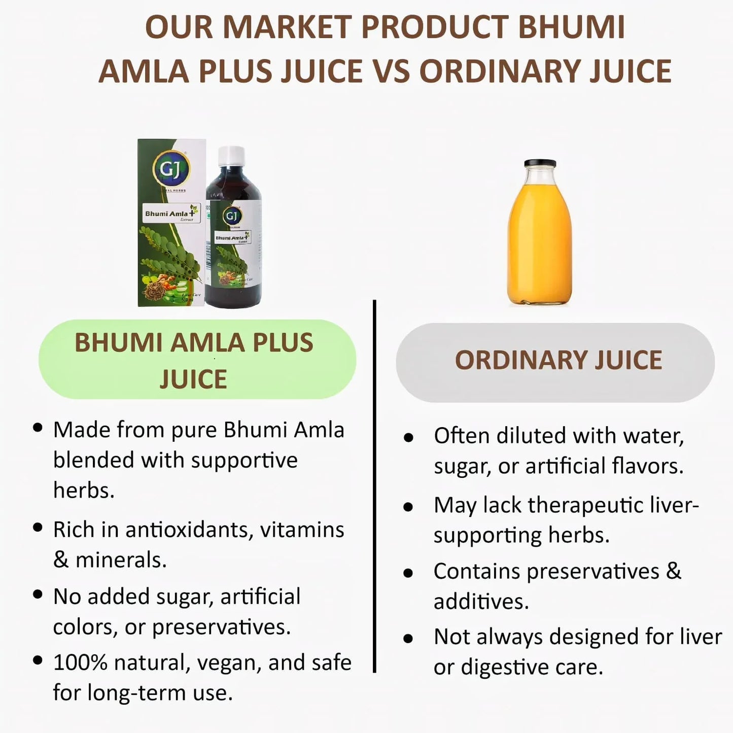 Gj Global Bhumi Amla Plus Juice - 500 ml - Orgoshops