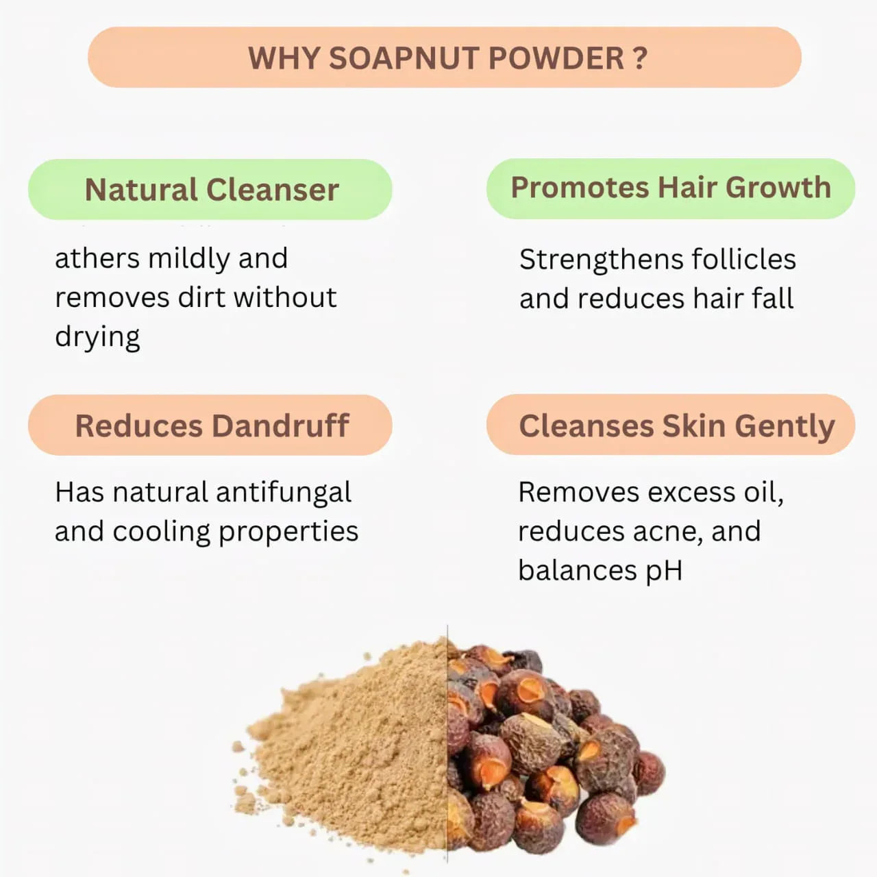 Nisarg Organic Farm Aretha/ Reetha/ Soapnut Powder - Orgoshops