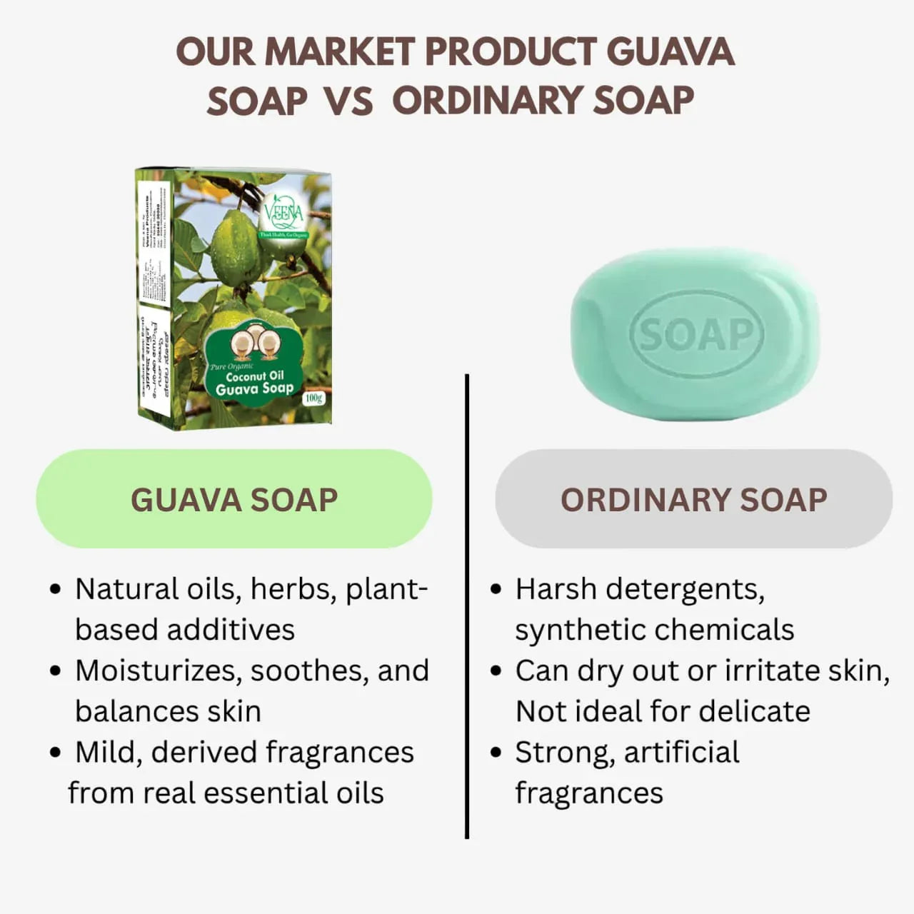 Veena Guava Soap - 100g ( Pack of 3) - Orgoshops