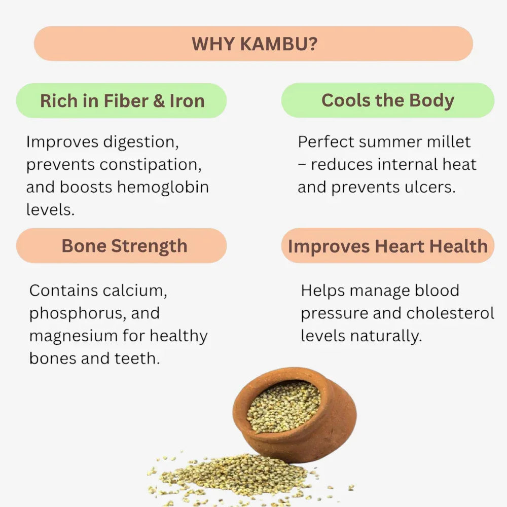 Thaiman Organic Nattu Kambu / Pearl Millet / Millet / Kambu - 2 kg - Orgoshops