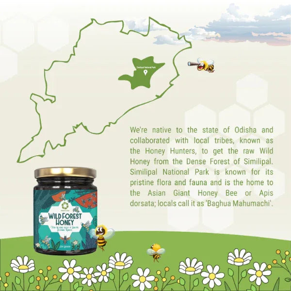 Neo Sanjivani Wild Forest Honey, Raw Forest Honey - 250g - Orgoshops
