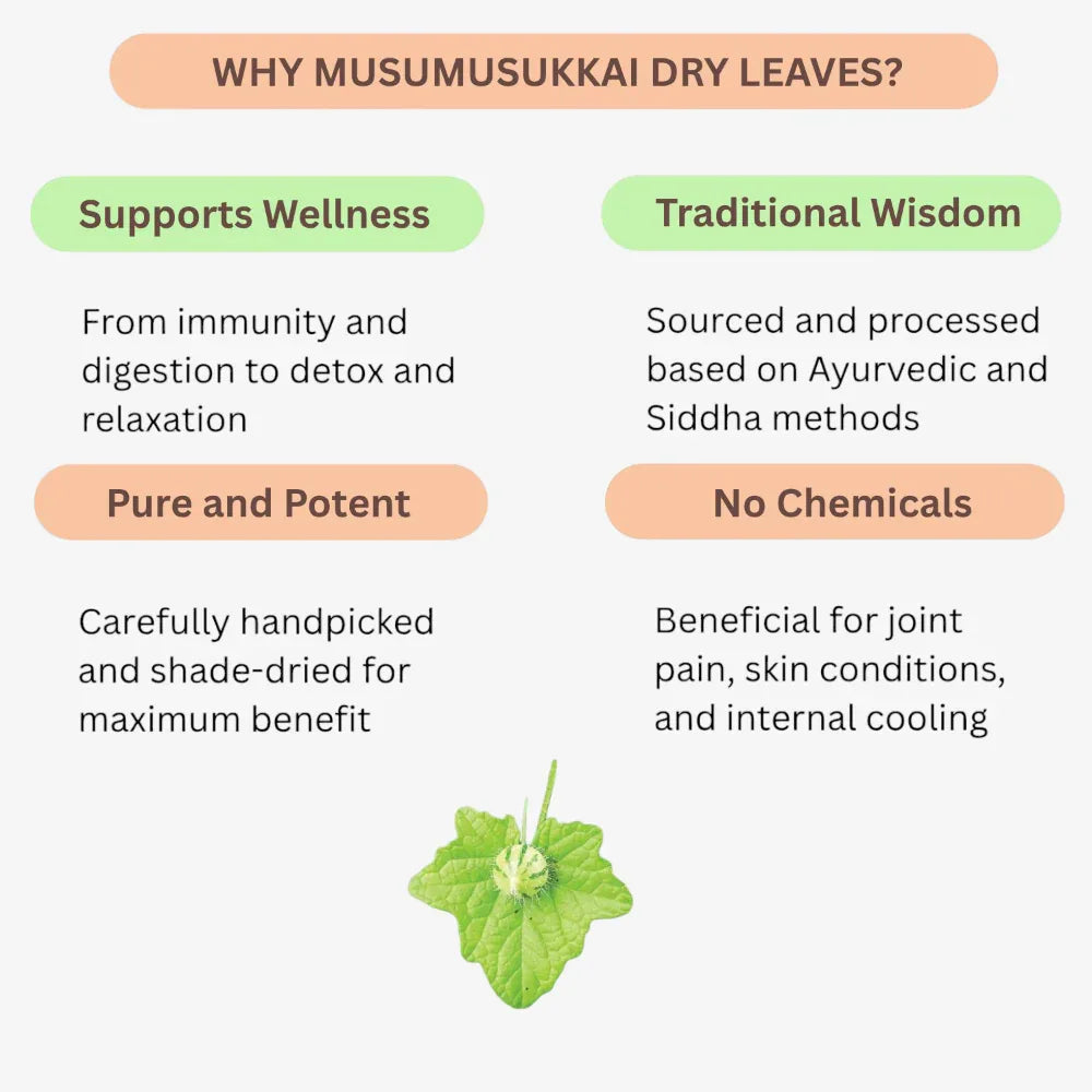 benefits of Musumusukkai leaves