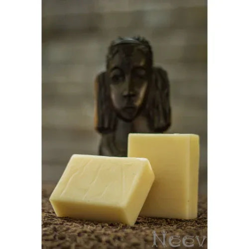 Anti Dandruff Hair Wash Soap - 100g ( Pack of 3 ) - Orgoshops