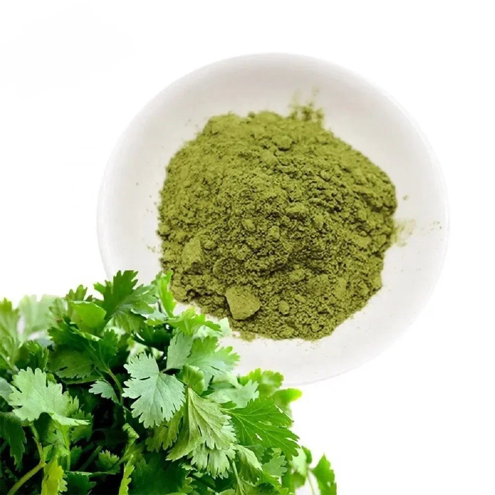 Nisarg Organic Farm Green Coriander Leaf Powder - Orgoshops
