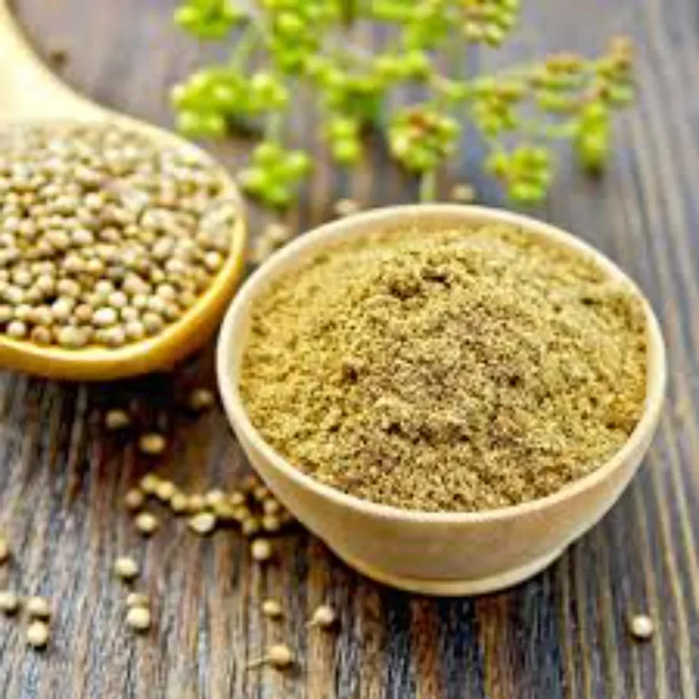Organic Coriander Powder / Malli Thool – 100g x 3 Pack - Orgoshops