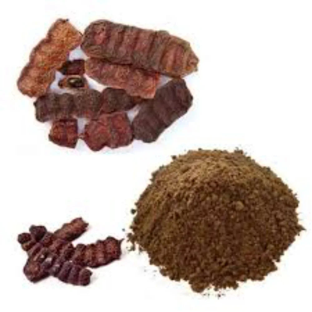 Dhaanyas Shikakai Powder | தான்யாஸ் சிகைக்காய் பொடி - 100 GMS - (Pack of 3) - Orgoshops