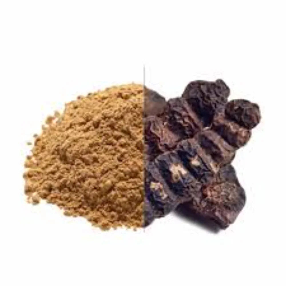 Dhaanyas Shikakai Powder | தான்யாஸ் சிகைக்காய் பொடி - 100 GMS - (Pack of 3) - Orgoshops