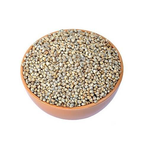 Thaiman Organic Nattu Kambu / Pearl Millet / Millet / Kambu - 2kg - Orgoshops