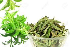 Oxygen Herbals Stevia Dry Leaves - Sugar-Free Dry Stevia Leaves - 150g - Orgoshops