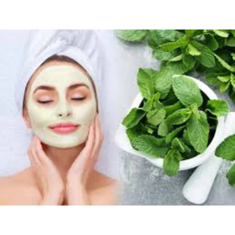 Dhaanyas Mint Face Pack | தான்யாஸ் புதினா பேஸ் பேக் - 100 Gms - (Pack of 2) - Orgoshops