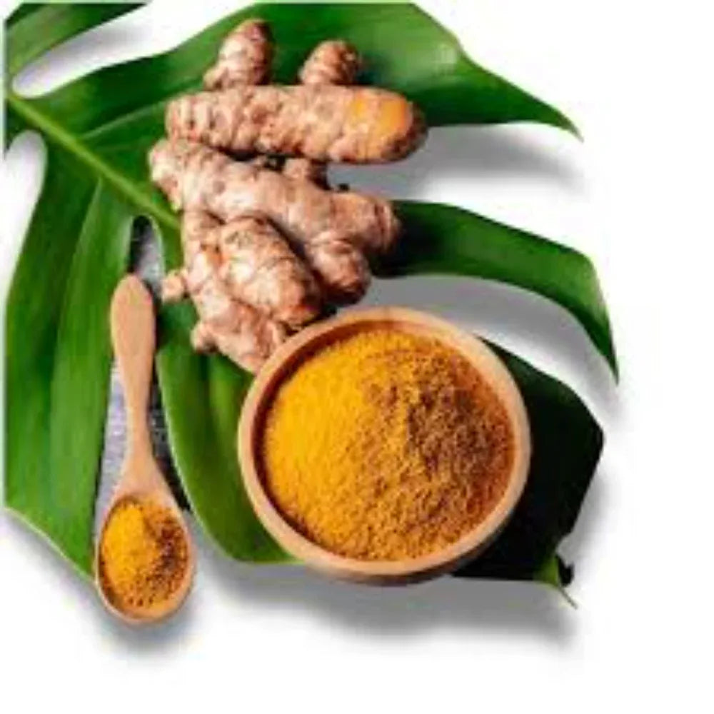 Dhaanyas Kasthuri Manjal | தான்யாஸ் கஸ்தூரி மஞ்சள் - 100 GMS - (Pack of 3) - Orgoshops