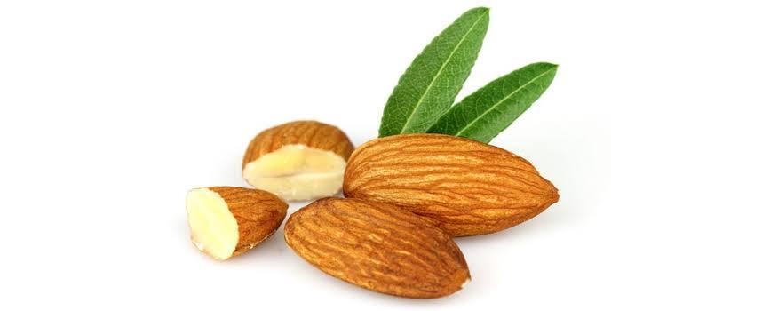 LAKSHMINALAMBAGAM : Almond - Normal - Orgoshops