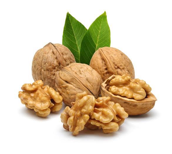 LAKSHMINALAMBAGAM : Walnut - Orgoshops