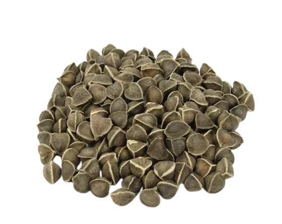 Veena Moringa Seeds - 100g ( Pack of 2 ) - Orgoshops