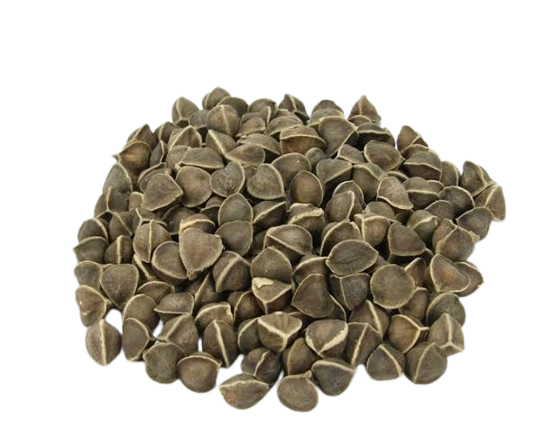 Veena Moringa Seeds - 100g ( Pack of 2 )