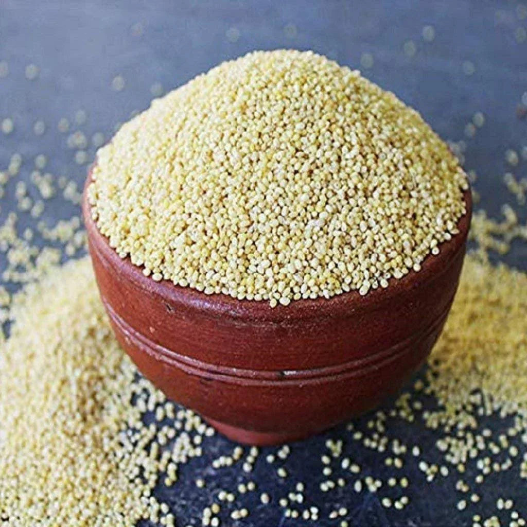 Araikkal Kuthiraivali Wheat Rava / Kuthiraivali Gothumai Rava - 500g ( Pack of 2 ) - Orgoshops