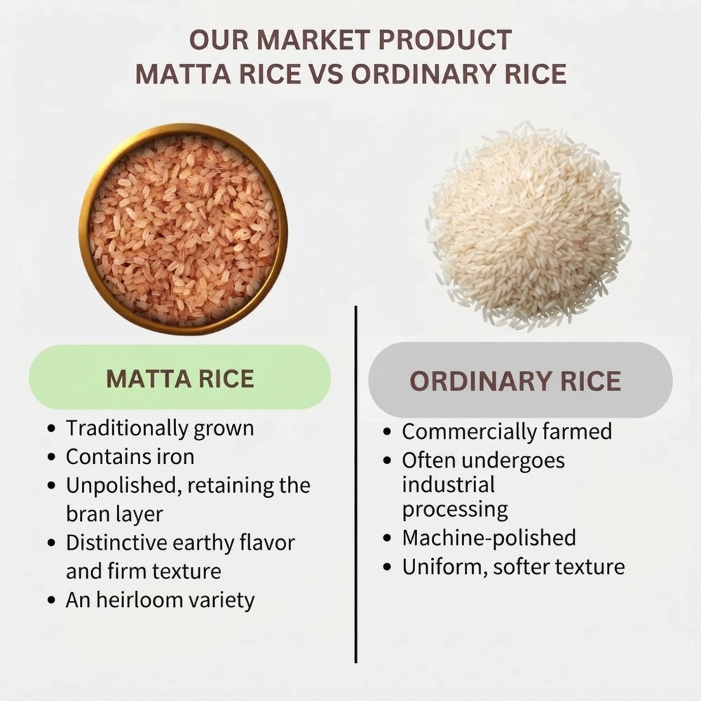 matta_rice2-802kb.jpeg