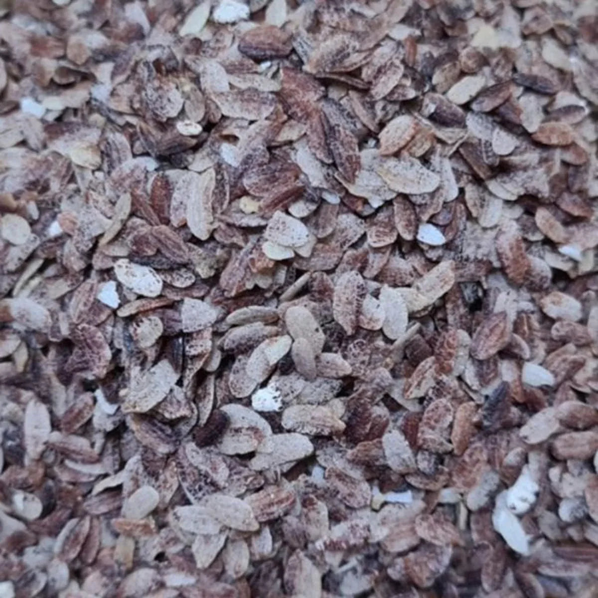 Shree Home Food Karuppu Kavuni Flakes / Karuppu Kavuni Aval - 500 g - Orgoshops