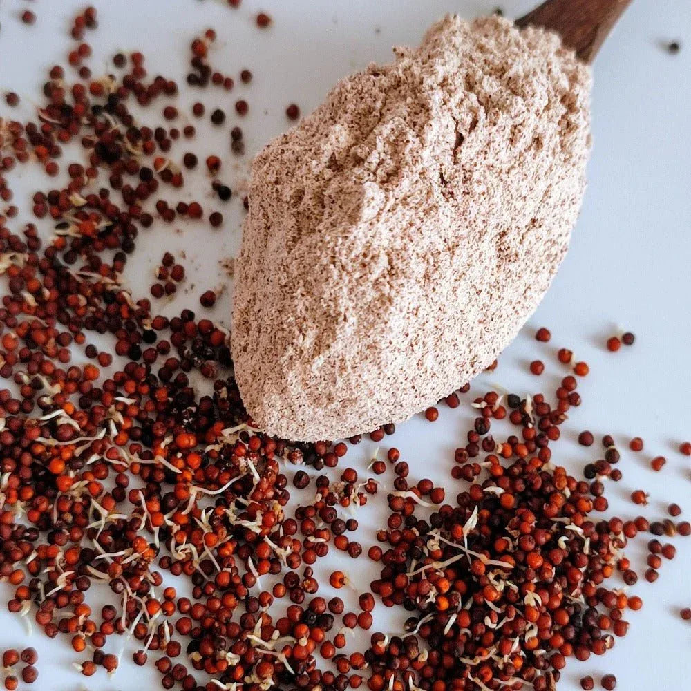 Araikkal Sprouted Ragi Flour / Mulaikattiya Ragi Maavu - 500g ( Pack of 2 ) - Orgoshops