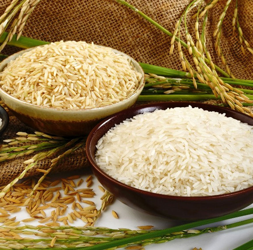 Ponni Rice – Everyday Rice for Delicious Home-Cooked Meals