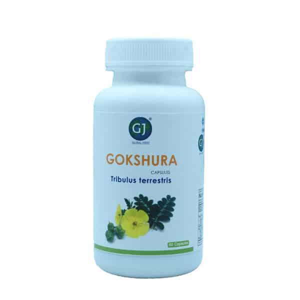 Gj Global Gokshura Capsules - 50 Capsules - Orgoshops
