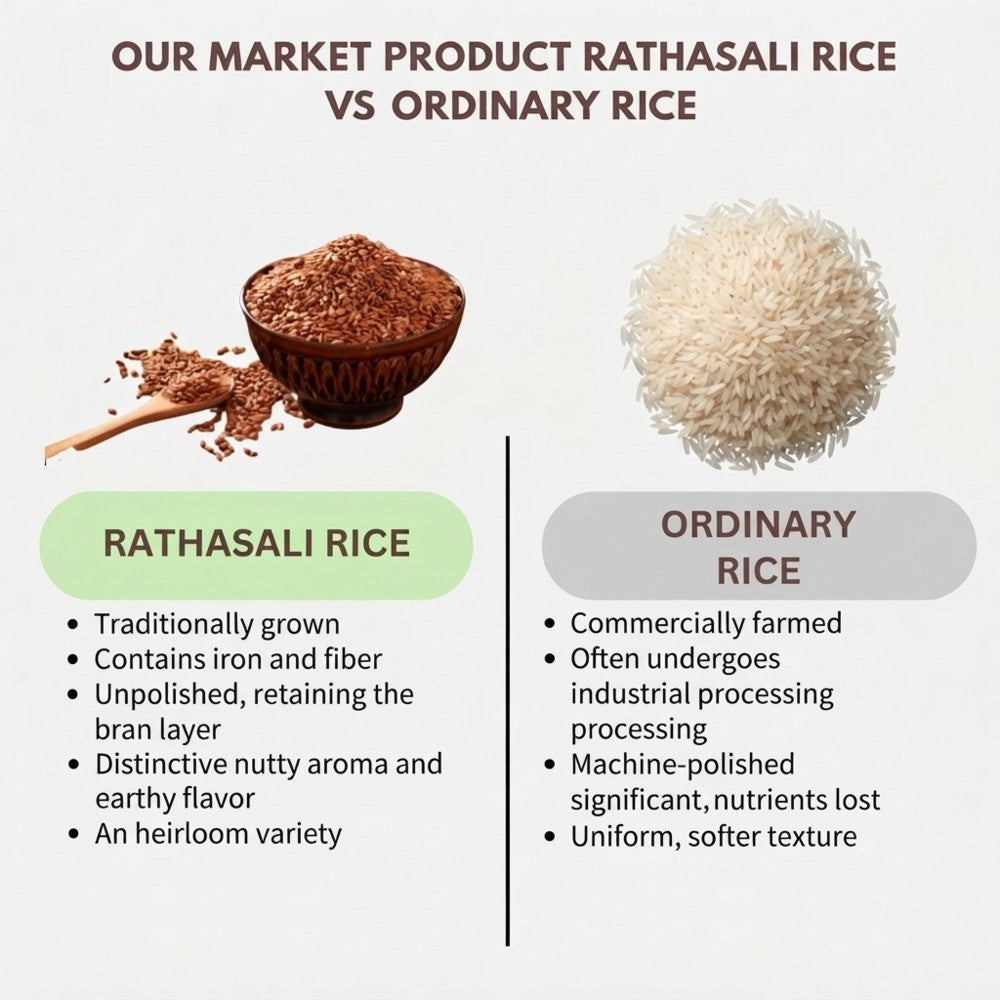 rathasali_rice2-802kb.jpeg