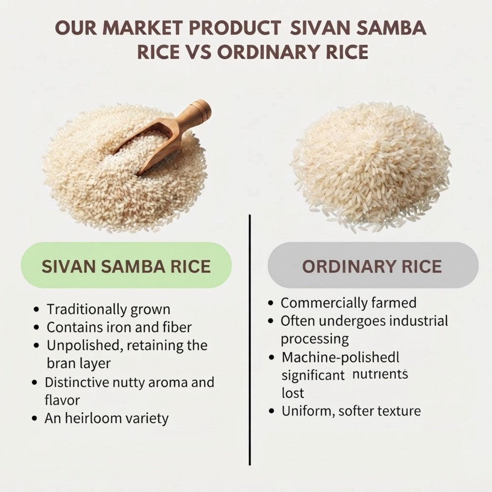 sivan_samba2-802kb.jpeg