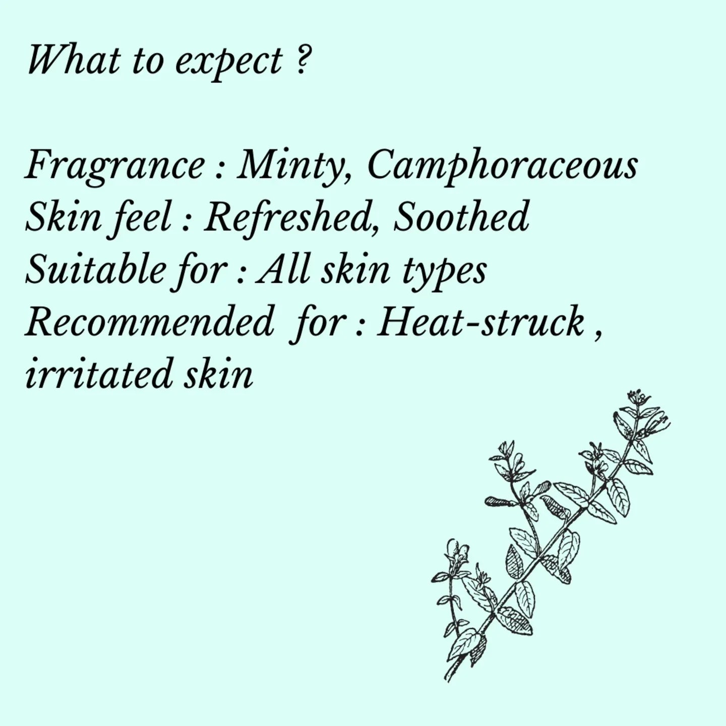 Fuschia - Spearmint Natural Handmade Glycerine Soap - 100g - Orgoshops