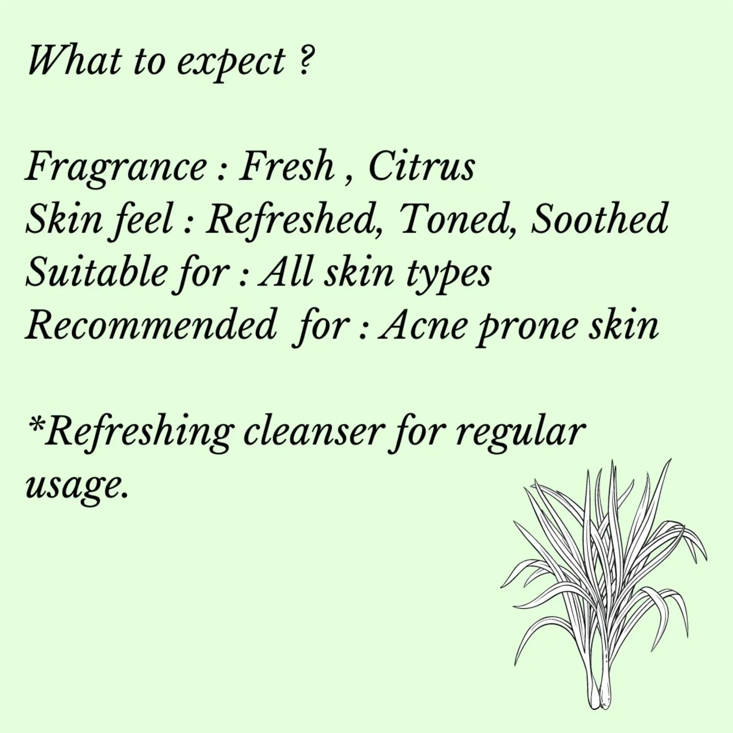 Fuschia - Lemon Grass Oil Natural Handmade Herbal Soap - 100g - Orgoshops