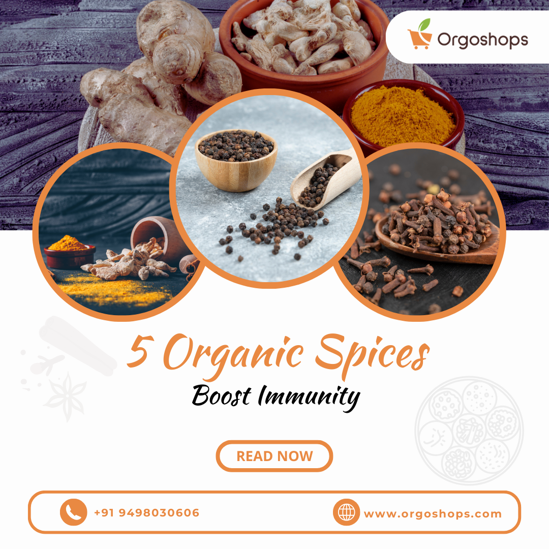 5 Organic Spices that Boost Immunity Naturally | Orgoshops