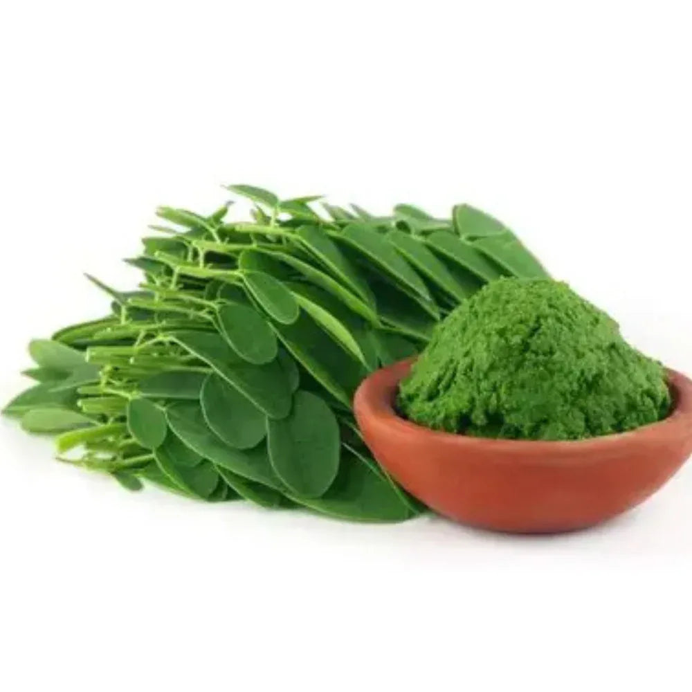 Oxygen Herbals Pure Moringa Leaves Boosts Immunity Levels - 200 g - Orgoshops