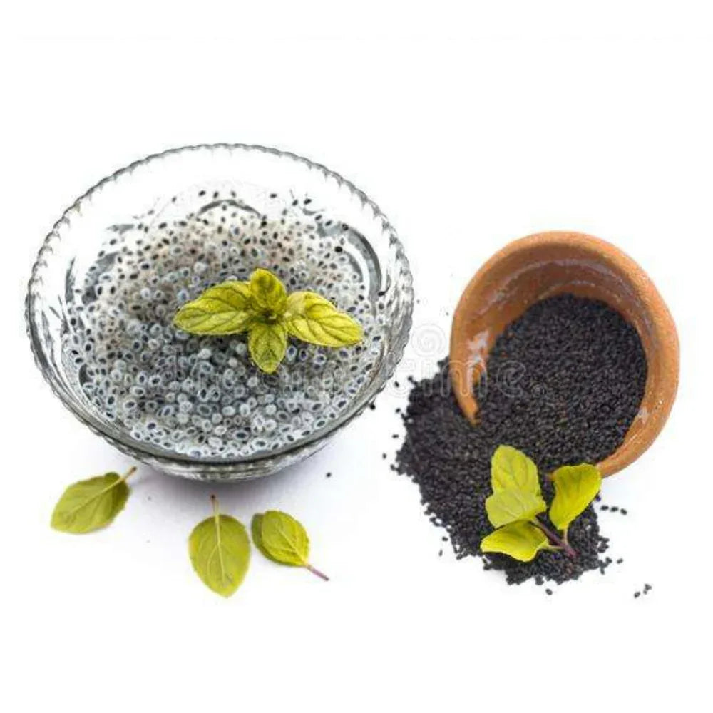 Oxygen Herbals Basil Seeds / Sabja Seed - 250 g - Orgoshops