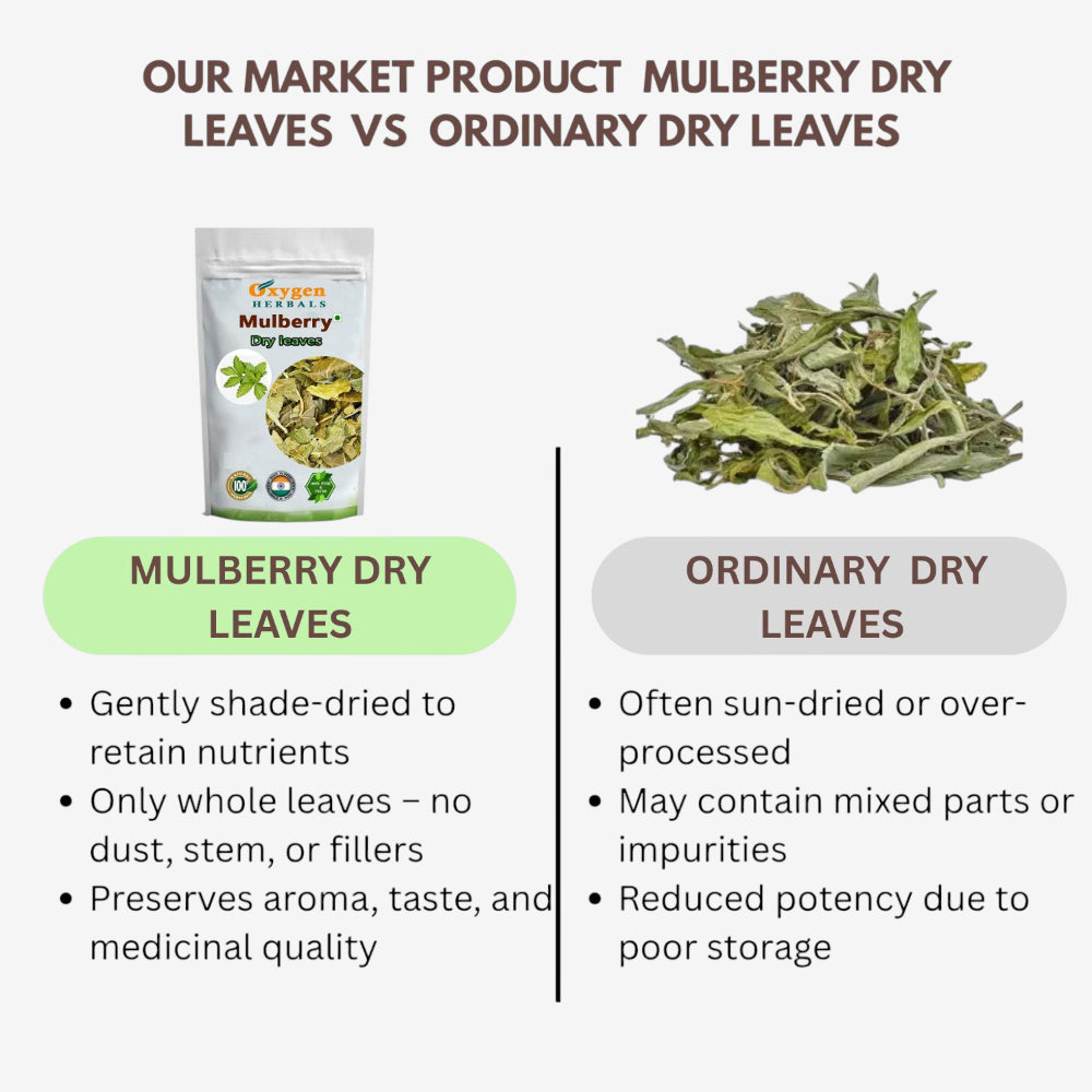 Oxygen Herbals Pure Mulberry Dry Leaves - 130 g