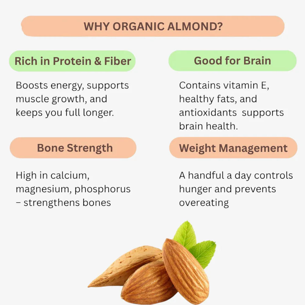 Thaiman Organic Almond / Badam / Nuts / Badam Paruppu - 250 g - Orgoshops