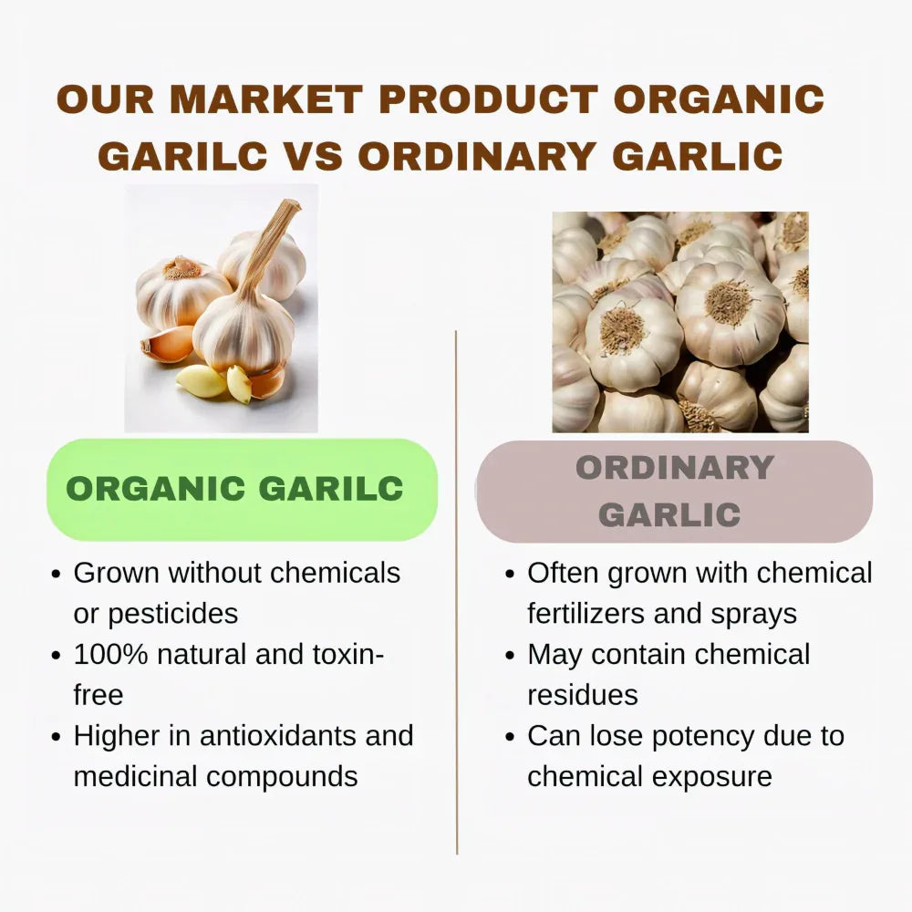Abinisha Garlic | Fresh Garlic | Organic Garilc | Poondu - 500 g - Orgoshops