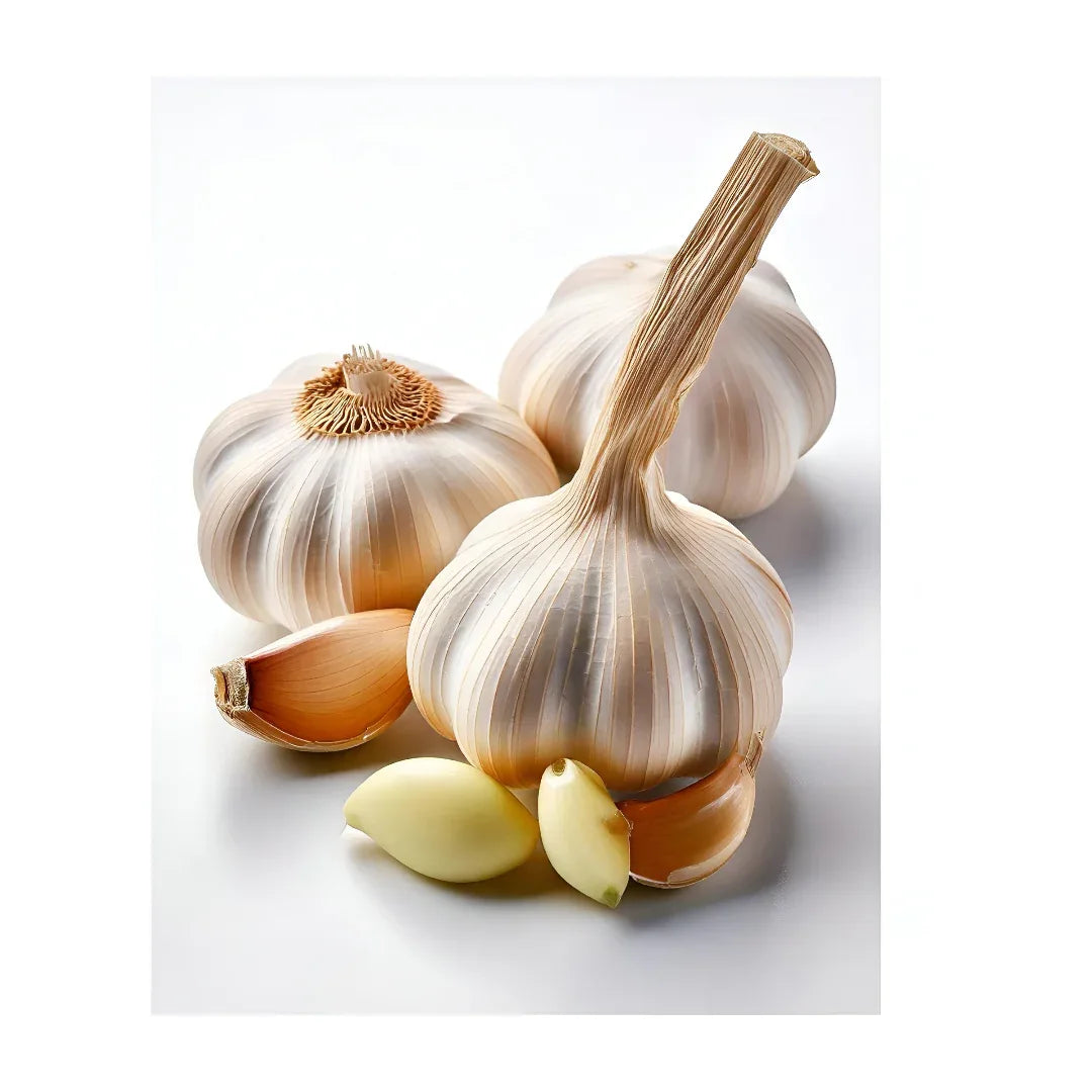 Abinisha Garlic | Fresh Garlic | Organic Garilc | Poondu - 500 g - Orgoshops