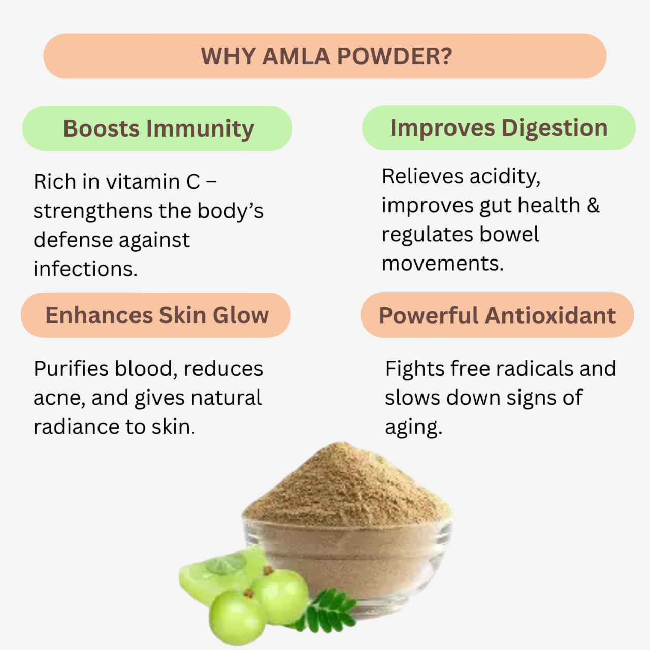 Nisarg Organic Farm Amla Powder