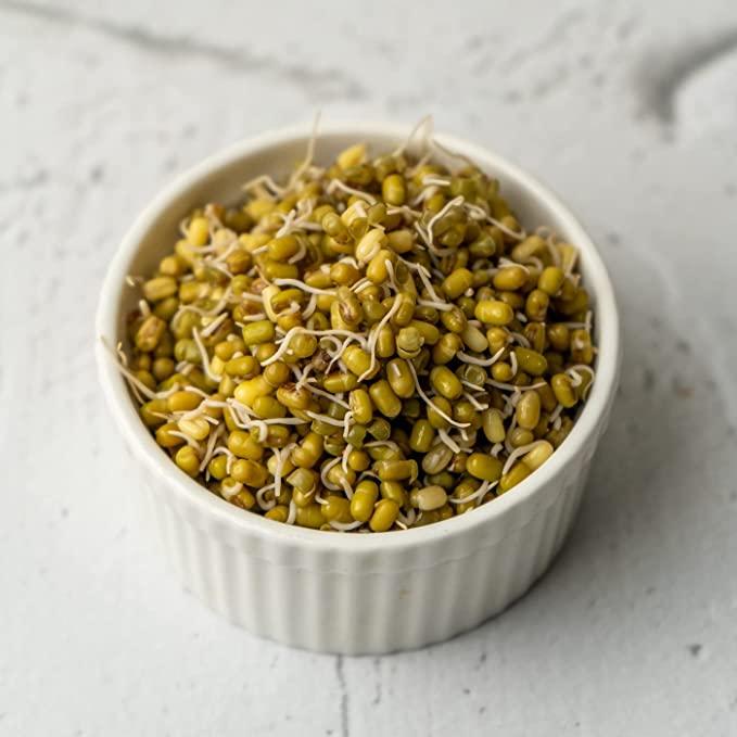 Moong Bean Sprouts - Pack of 4 380g - Orgoshops