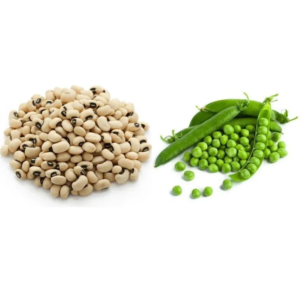 Sangat Cow Peas With Green Peas Each - 1 kg (Pack of 2) - Orgoshops
