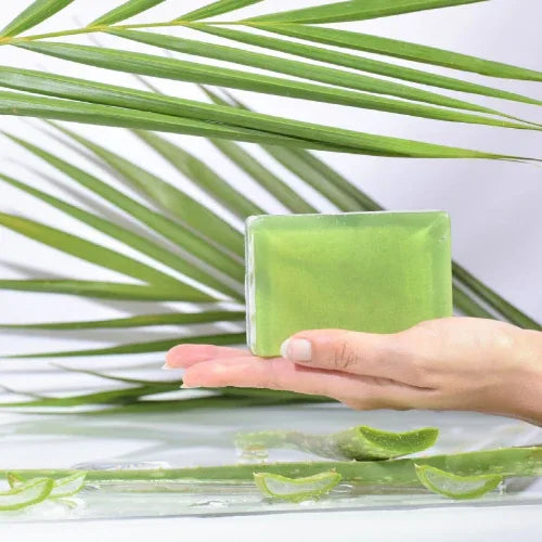 Macaw Herbal Neem and Aloevera Soap - 100g (Pack of 2) - Orgoshops