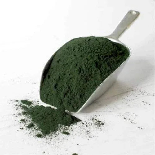 Genius Herbs Pure Spirulina Powder - 500gm - Orgoshops