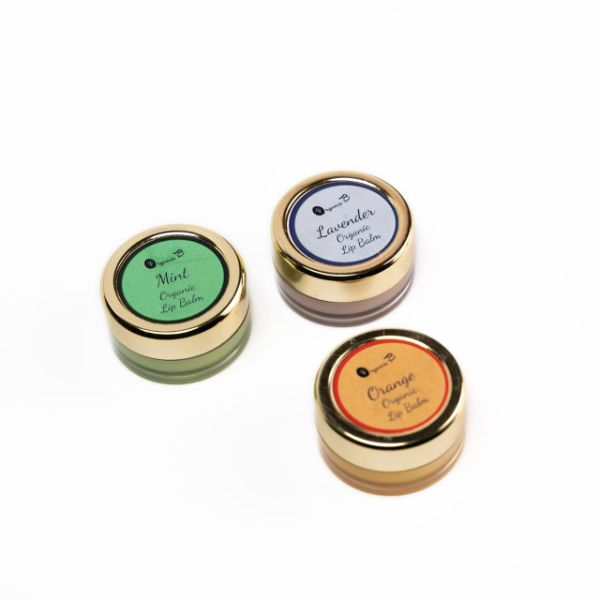 Organic B Lip Balm Pack Of 3 Different Flavours-300gm